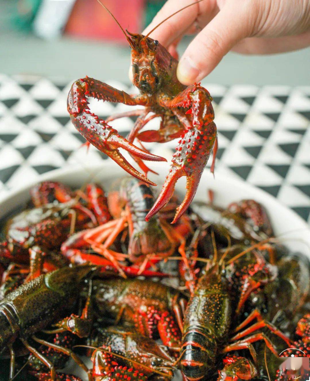 备小龙虾回归!新鲜大只又过瘾鲜香吮指不停!pg电子模拟器免费版终于等到了!夏日宵夜必(图1) 备小龙虾回归!新鲜大只又过瘾鲜香吮指不停!pg电子模拟器免费版终于等到了!夏日宵夜必(图1)