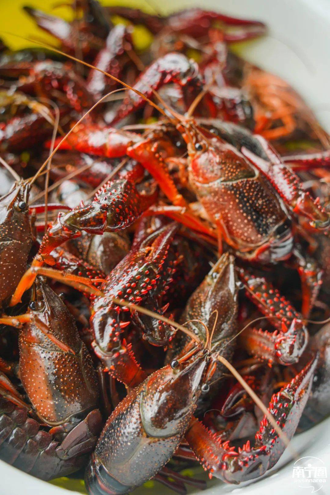 备小龙虾回归!新鲜大只又过瘾鲜香吮指不停!pg电子模拟器免费版终于等到了!夏日宵夜必(图6) 备小龙虾回归!新鲜大只又过瘾鲜香吮指不停!pg电子模拟器免费版终于等到了!夏日宵夜必(图6)