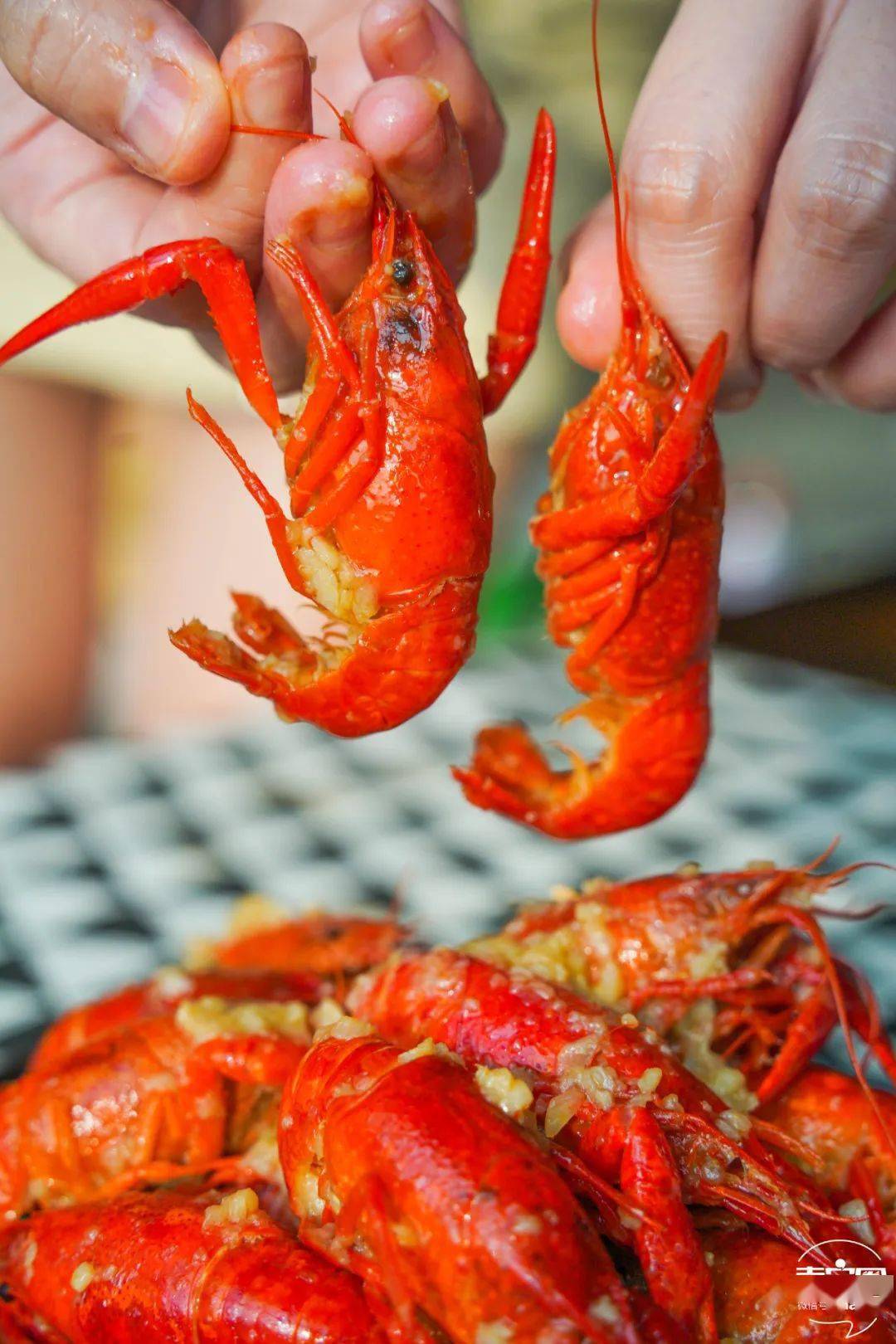 备小龙虾回归!新鲜大只又过瘾鲜香吮指不停!pg电子模拟器免费版终于等到了!夏日宵夜必(图14) 备小龙虾回归!新鲜大只又过瘾鲜香吮指不停!pg电子模拟器免费版终于等到了!夏日宵夜必(图14)