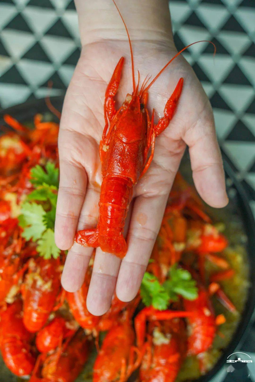 备小龙虾回归!新鲜大只又过瘾鲜香吮指不停!pg电子模拟器免费版终于等到了!夏日宵夜必(图16) 备小龙虾回归!新鲜大只又过瘾鲜香吮指不停!pg电子模拟器免费版终于等到了!夏日宵夜必(图16)