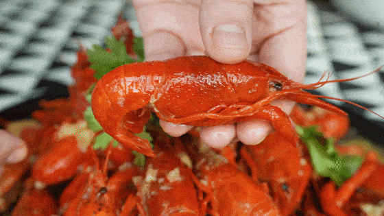 备小龙虾回归!新鲜大只又过瘾鲜香吮指不停!pg电子模拟器免费版终于等到了!夏日宵夜必(图20) 备小龙虾回归!新鲜大只又过瘾鲜香吮指不停!pg电子模拟器免费版终于等到了!夏日宵夜必(图20)