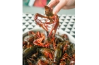 备小龙虾回归！新鲜大只又过瘾鲜香吮指不停